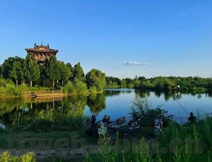 球探足球推荐足球比分-球探视角，解码足球推荐与比分预测的艺术与科学