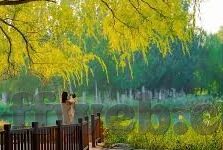 足球比分彩-揭秘足球比分彩，理性投注与风险防控的智慧之道