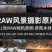足球比分猎球-足球比分猎球，一场智慧与激情交织的博弈盛宴