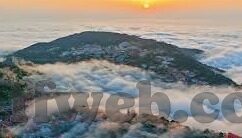 足球退赛比分-足球退赛比分，赛场风云背后的复杂变数