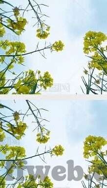 足球现场体育比分直播-从绿茵场到指尖，足球现场体育比分直播的进化史与未来图景